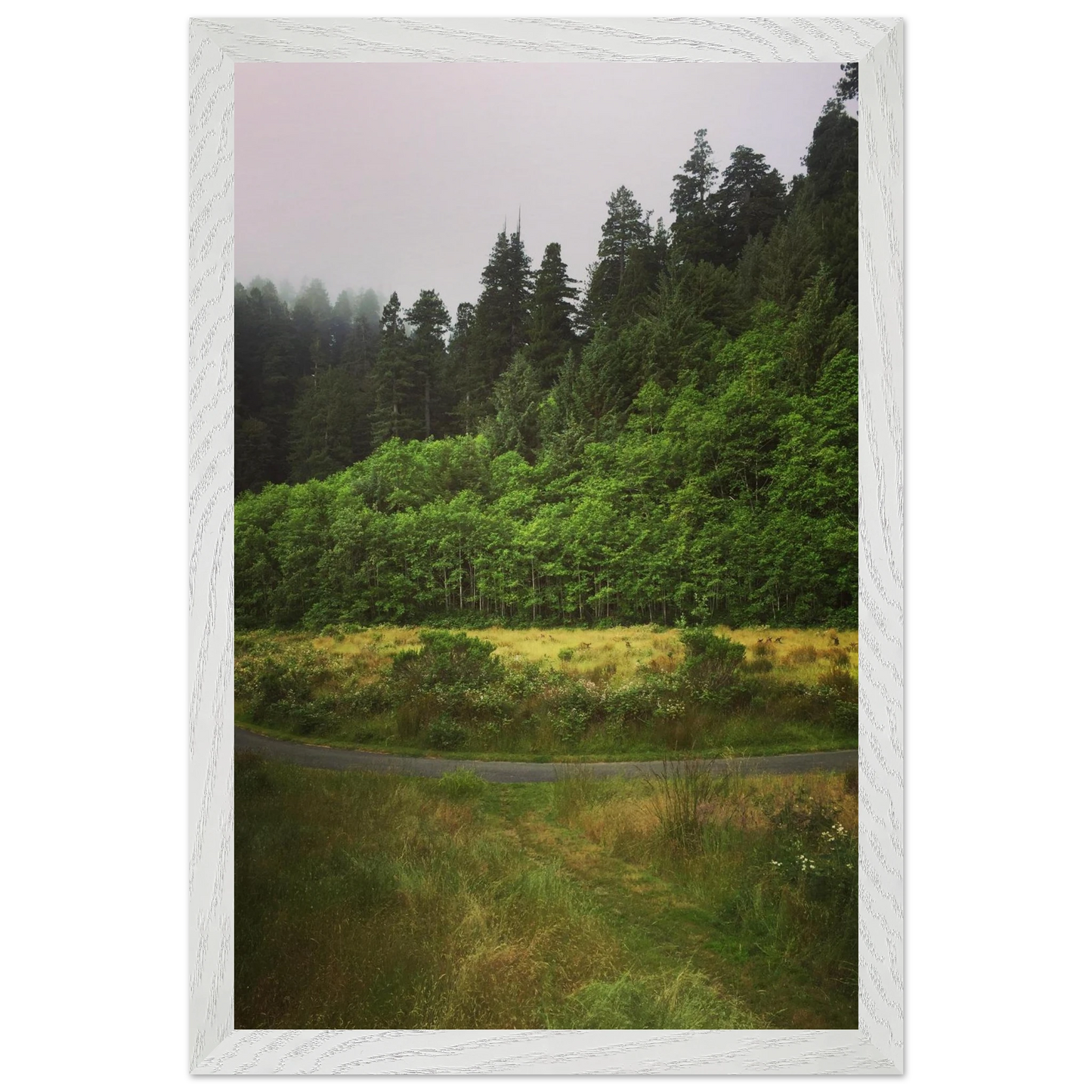 1e3b244a-ed3b-40d7-8ee5-fa7f7928c985