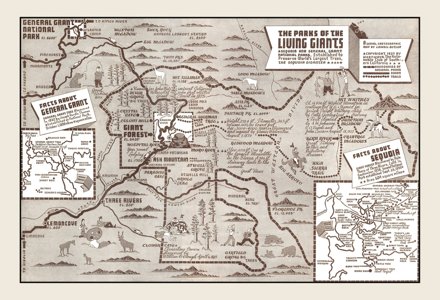 Vintage Map of Sequoia National Park & General Grant National Park 1937