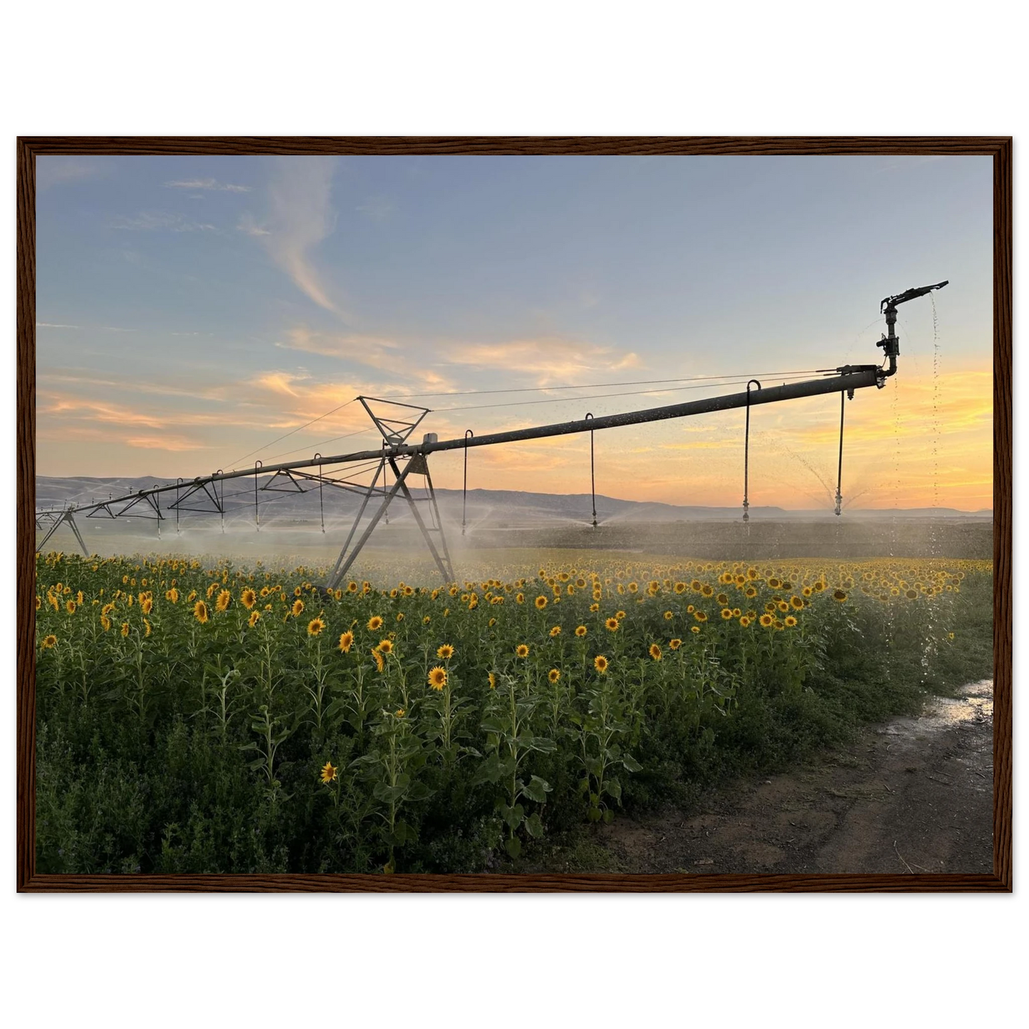 b4172bbd-7991-4f2e-b1d9-3b17b327e2ee