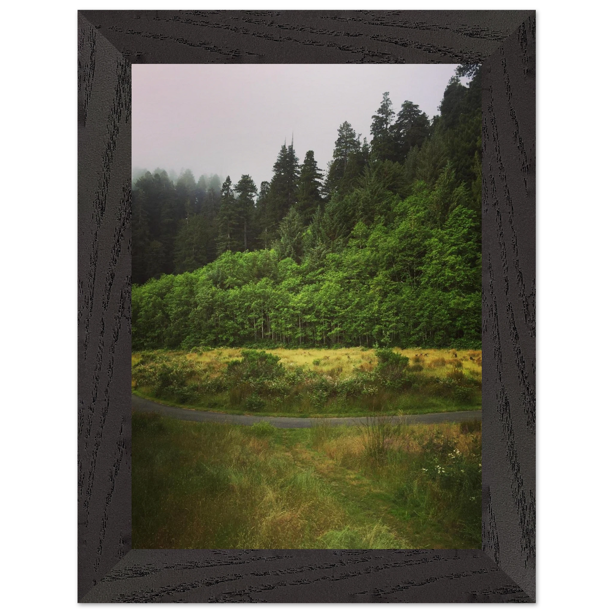dc7c20b9-3ded-43e5-ae12-3173995c715b