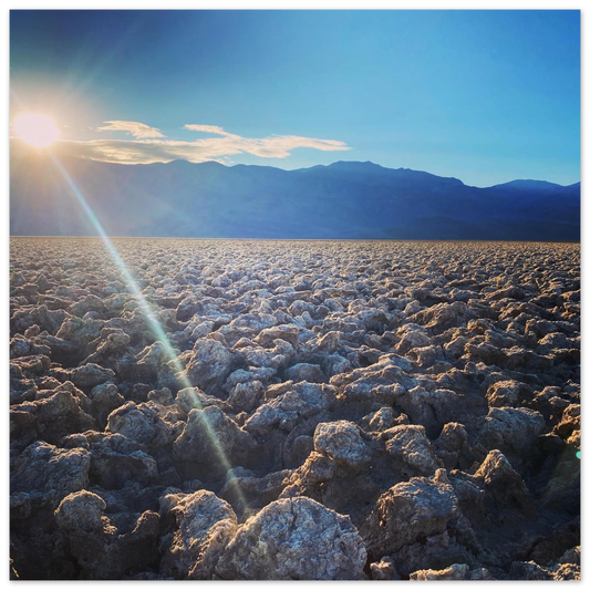 247a9d77-831f-421a-9c33-e08b0419b4d3