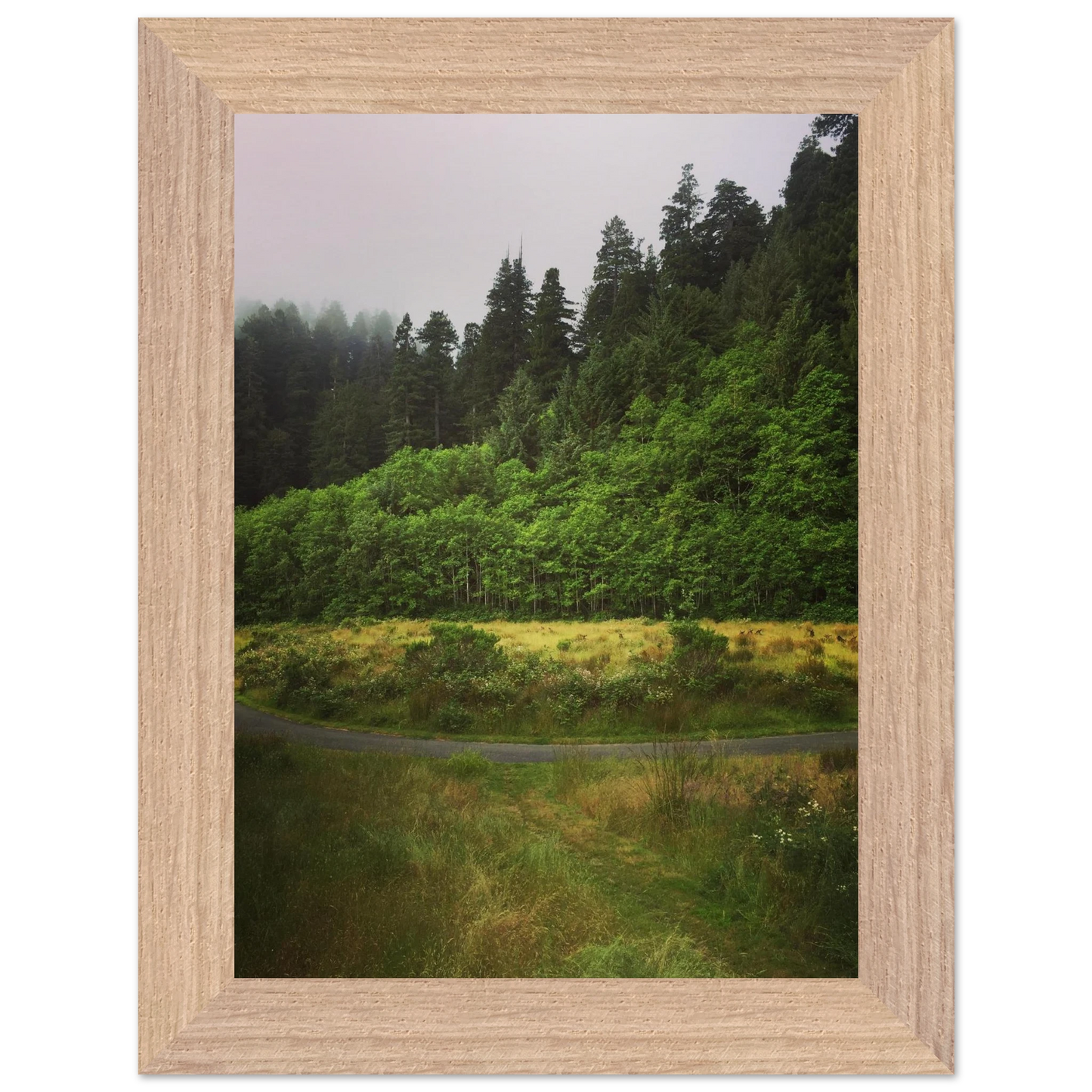 31d17305-8bc1-4448-ab6d-21fedc31539b