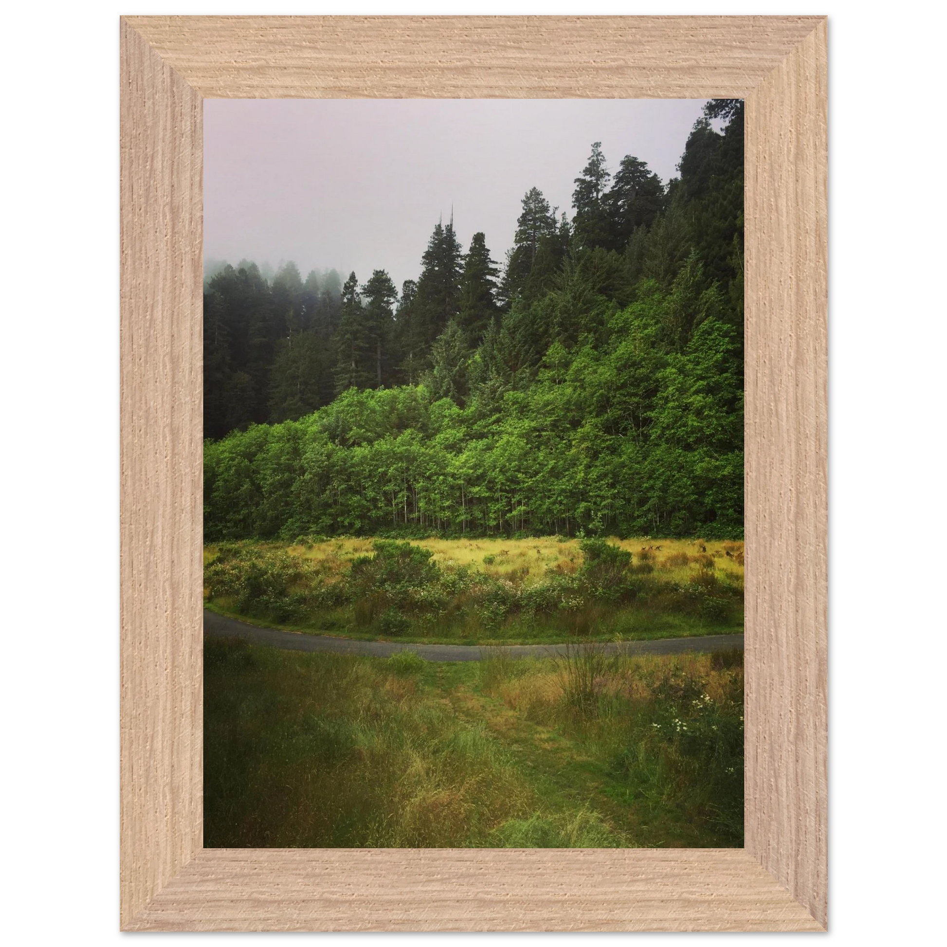 31d17305-8bc1-4448-ab6d-21fedc31539b