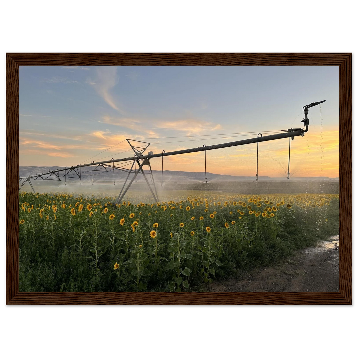 3c0d5b0d-d81a-4799-9d0b-404e55d00614