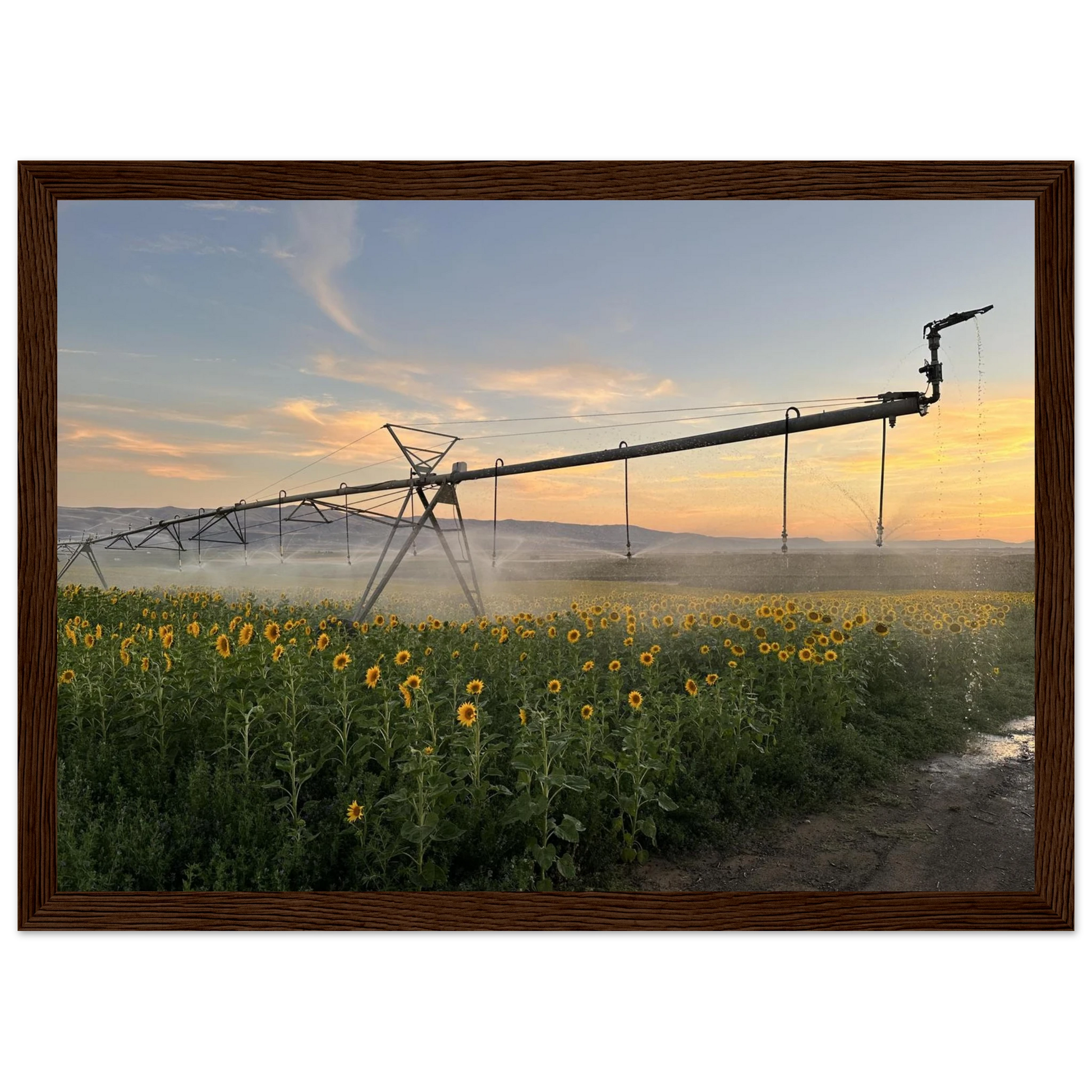 3c0d5b0d-d81a-4799-9d0b-404e55d00614