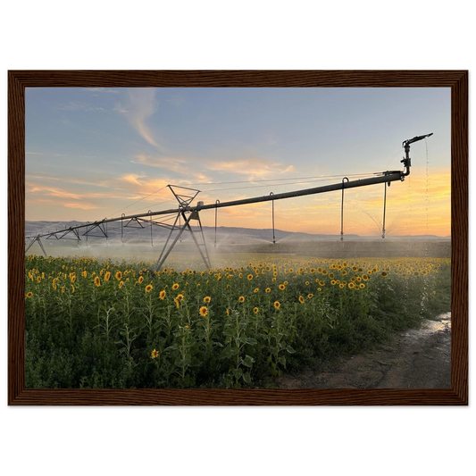 3c0d5b0d-d81a-4799-9d0b-404e55d00614