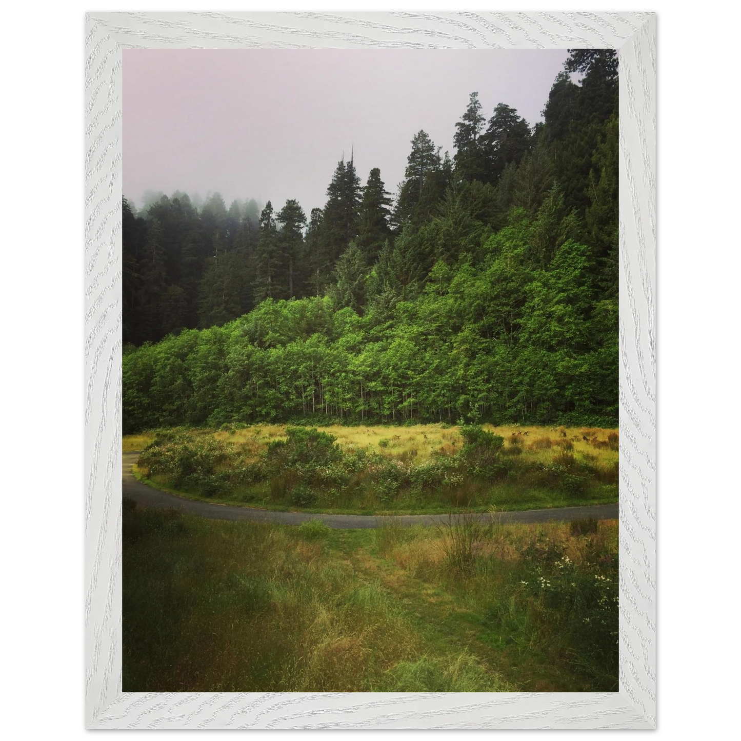 409229c4-461a-41b8-9e3d-c9cf2143a8c3