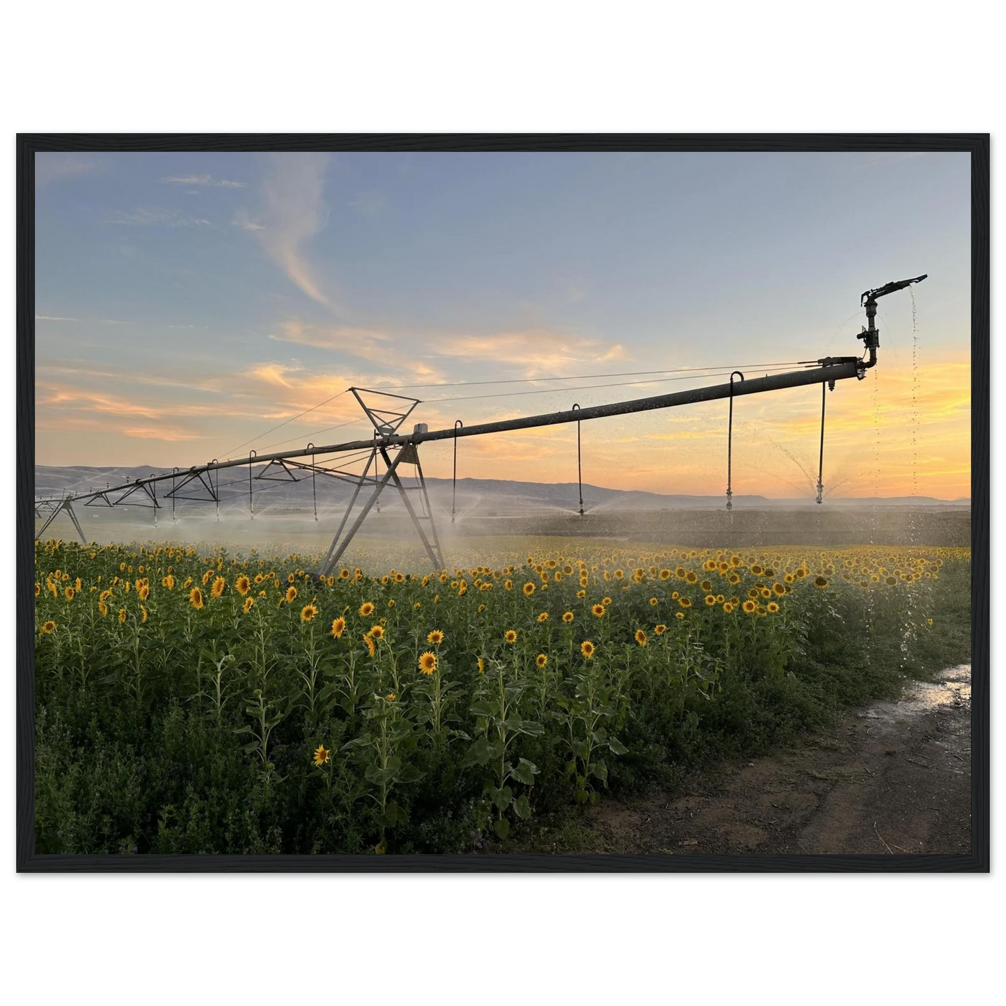 43aa3f6f-32d8-442b-bdad-eb866ba5d1aa