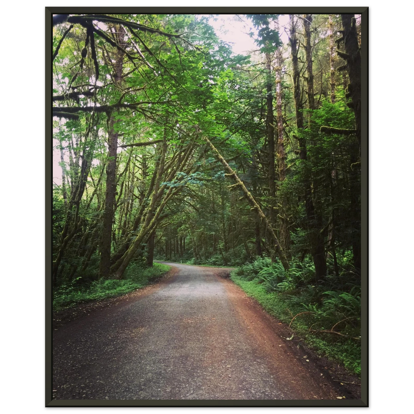 62f7a548-f966-44a5-8742-faf14d2e5987