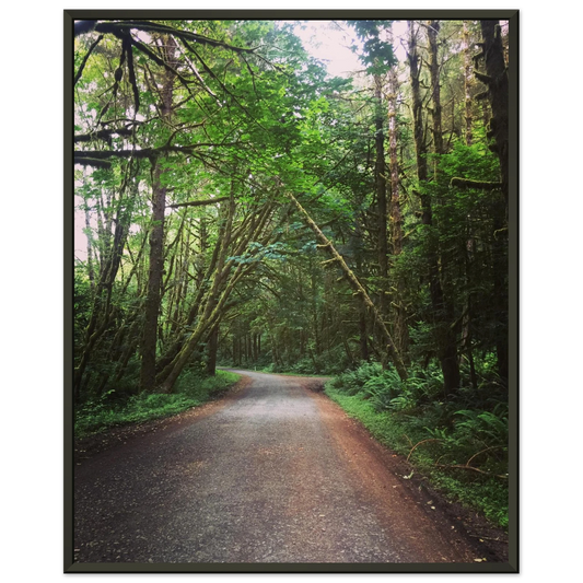 62f7a548-f966-44a5-8742-faf14d2e5987