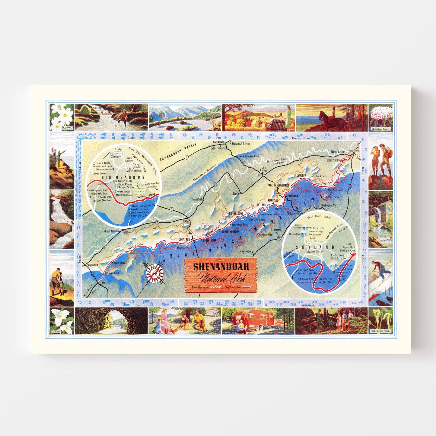 Vintage Map of Shenandoah National Park 1947