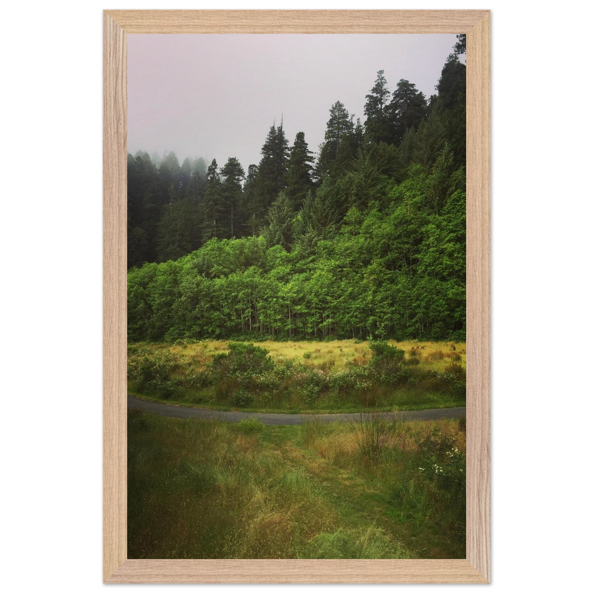 6ccd69e8-3462-46b8-92ac-cb0455934f3f