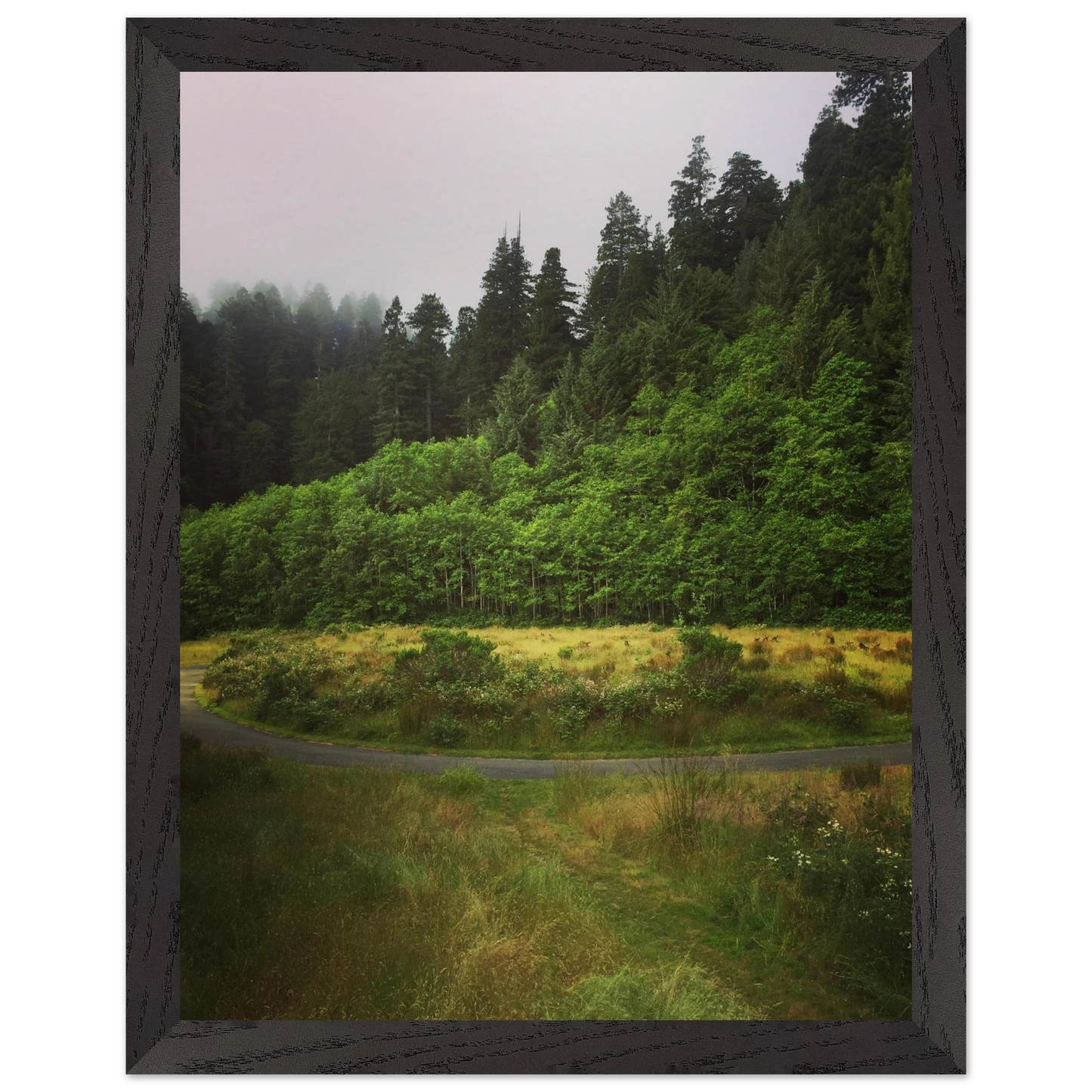 7605cf4e-e062-415f-87a9-c431d964779c