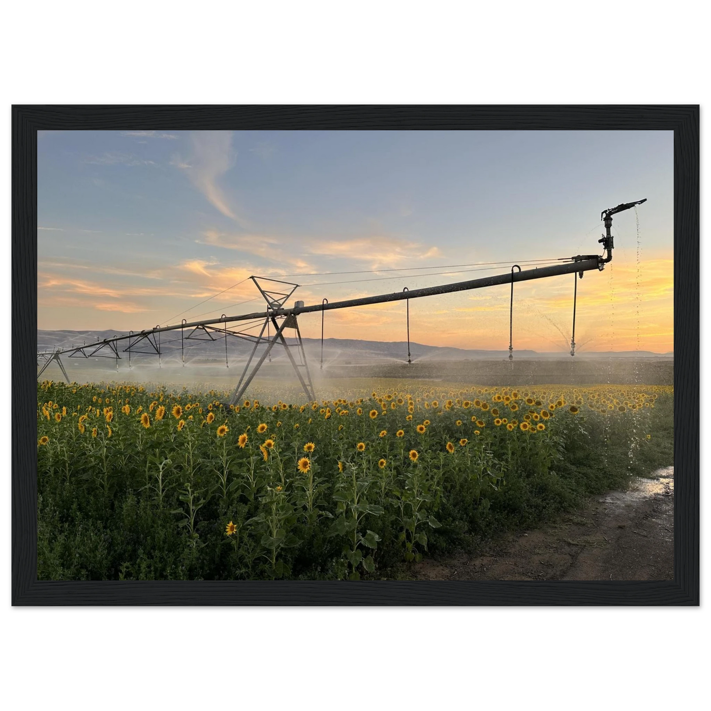 77b376a7-8831-4829-966e-e18ab16504bd