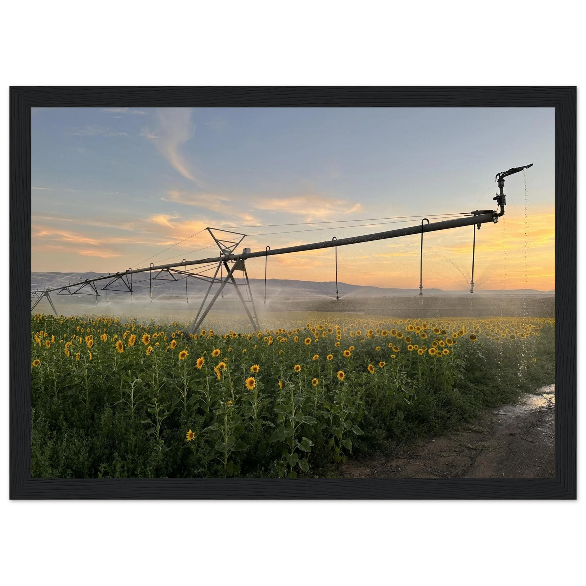 77b376a7-8831-4829-966e-e18ab16504bd