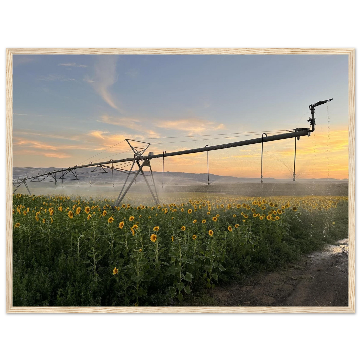 850b2685-2e0f-47c4-a5ee-eebb7c2672aa