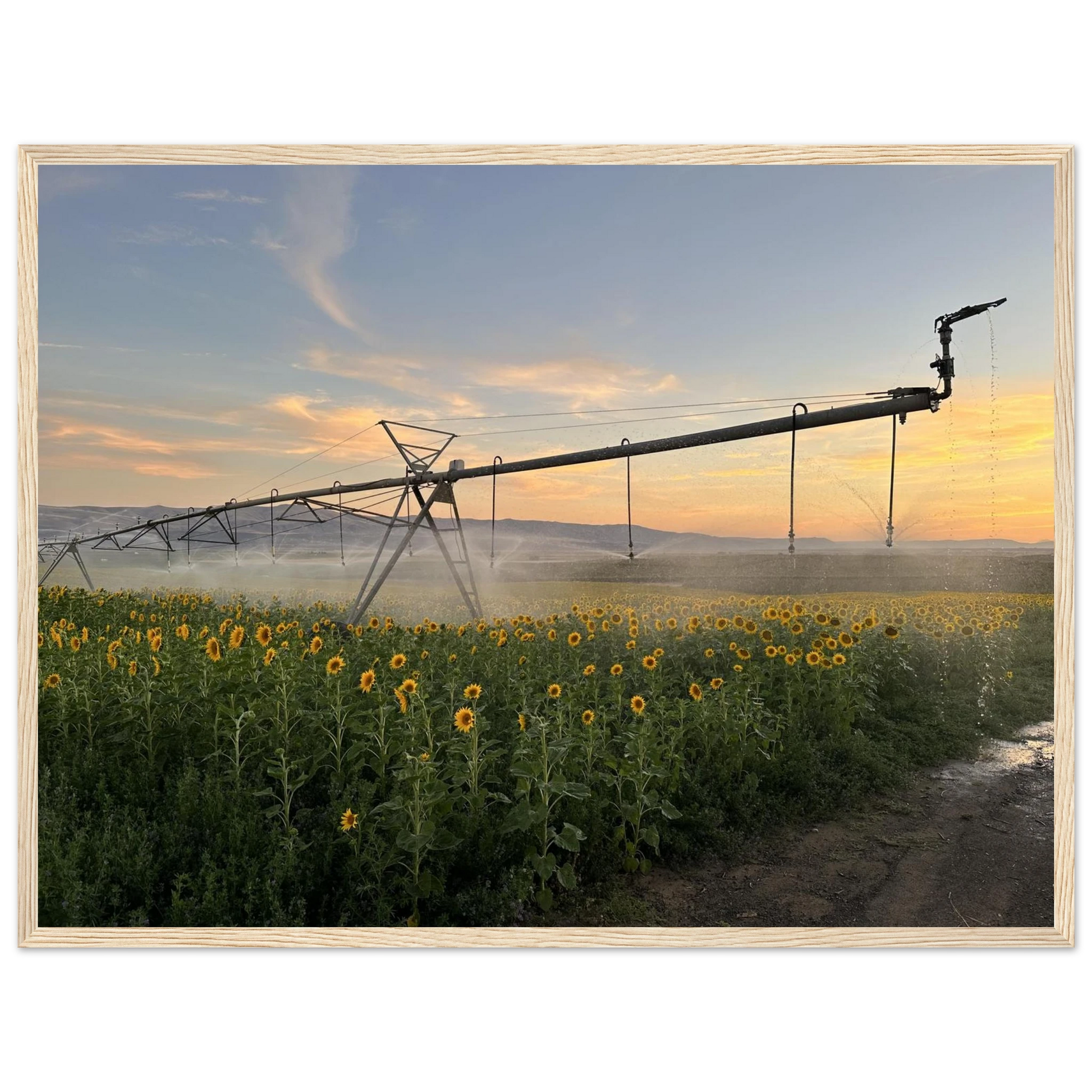 850b2685-2e0f-47c4-a5ee-eebb7c2672aa