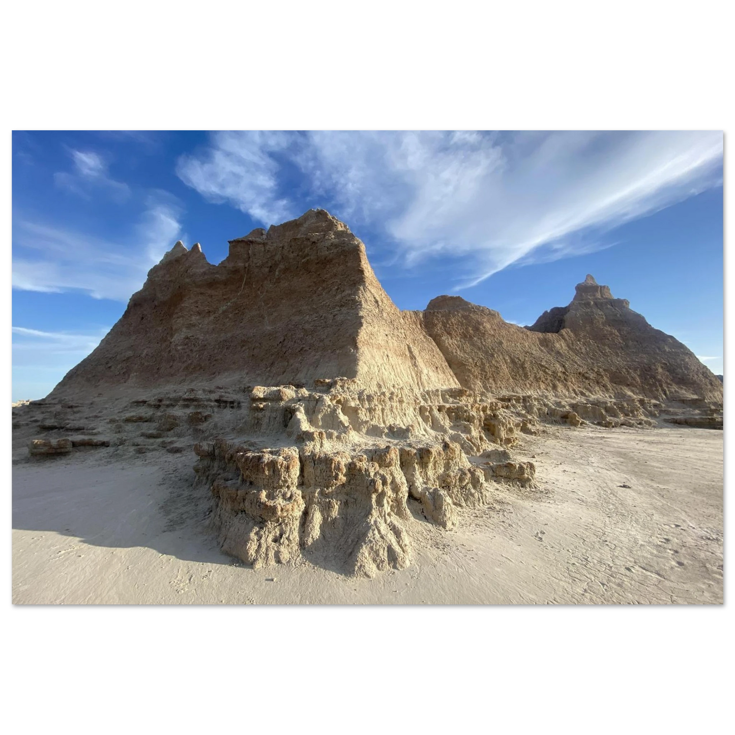 8a6e7f95-a4f5-46f6-837d-b810442ae665