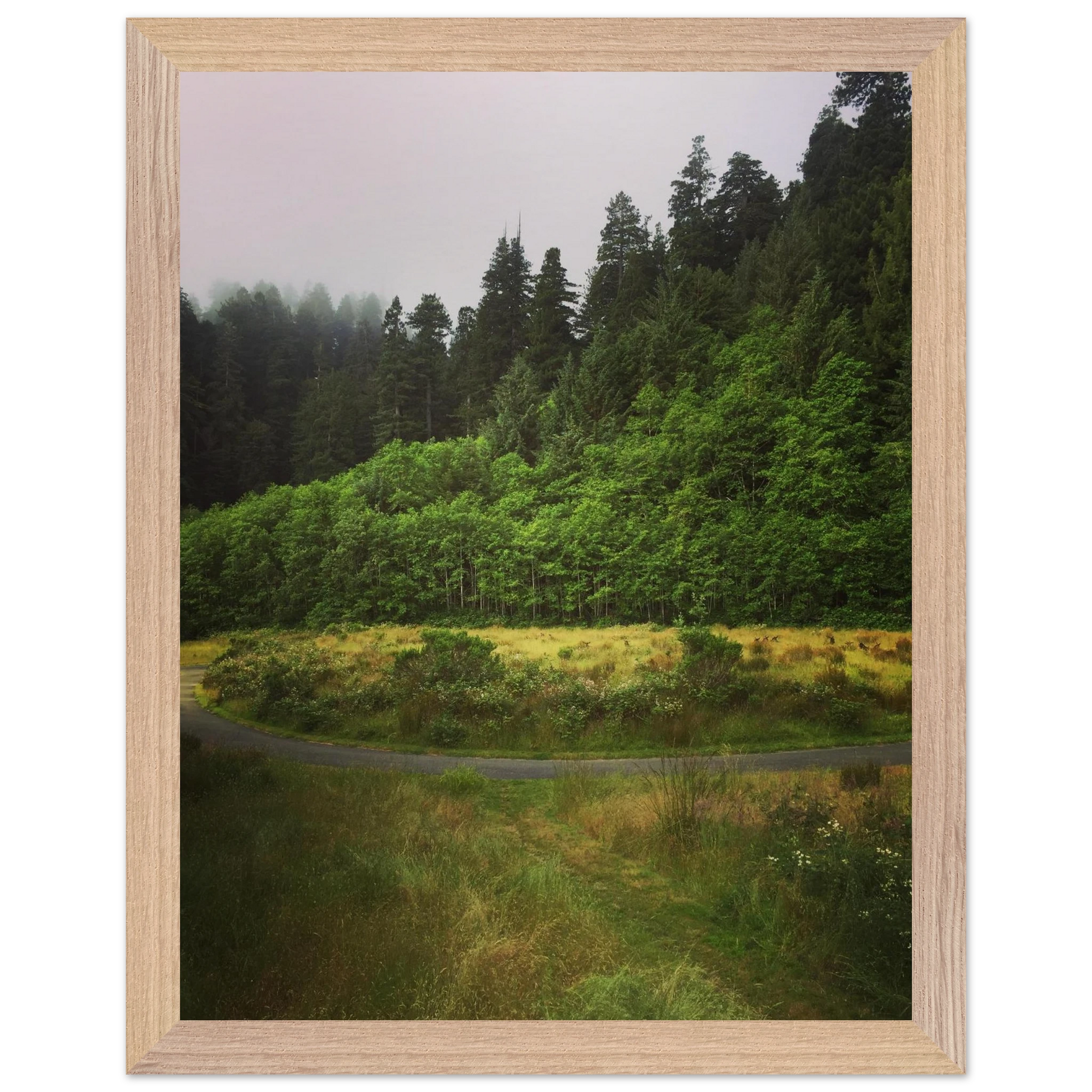 8c90791a-b0f1-4fe3-b463-923f5ad49546