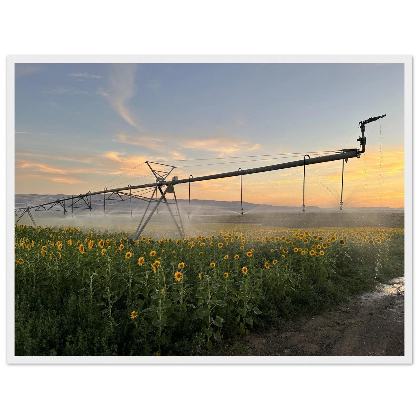 a0089721-d4f7-48d6-86dd-5e192ab739ca