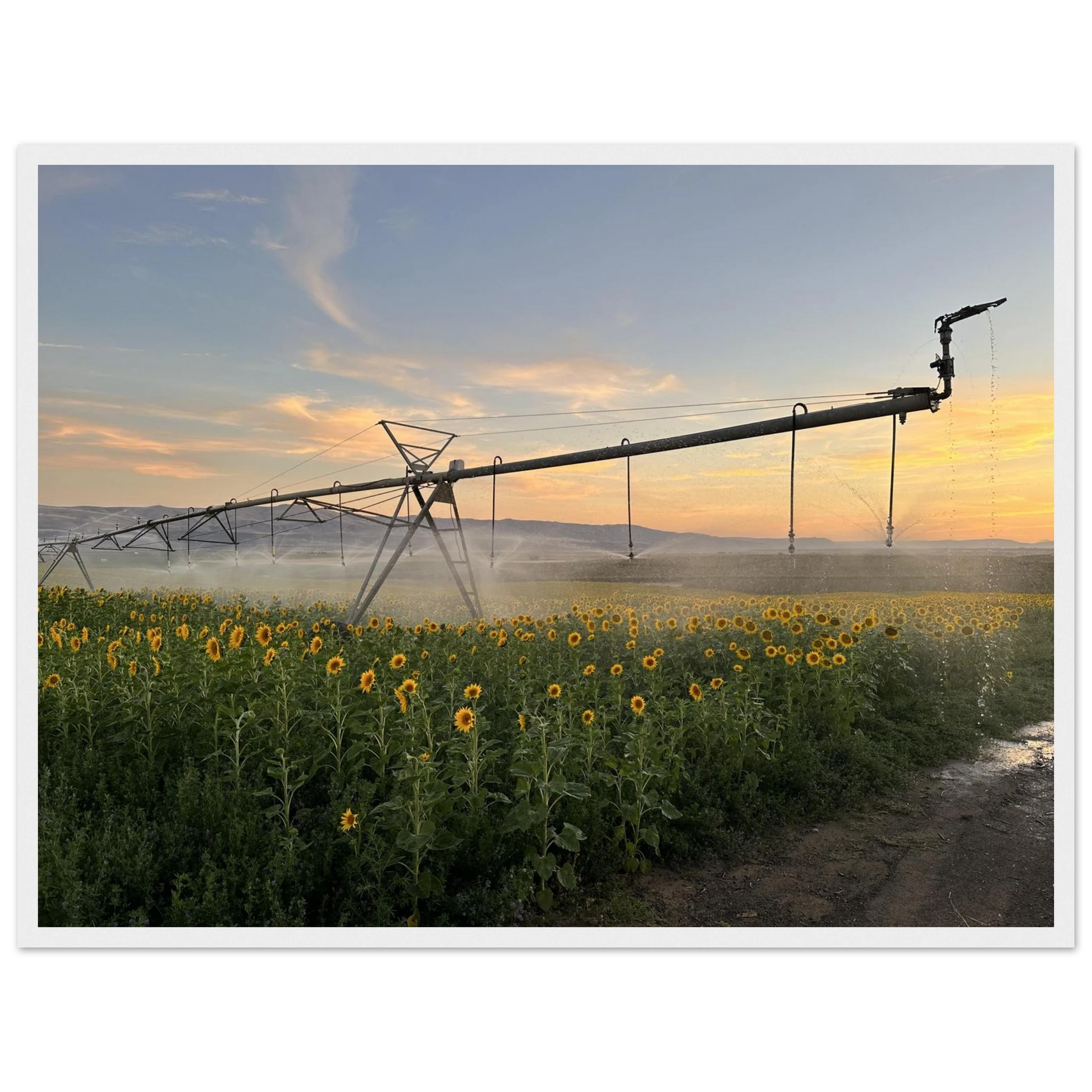 a0089721-d4f7-48d6-86dd-5e192ab739ca