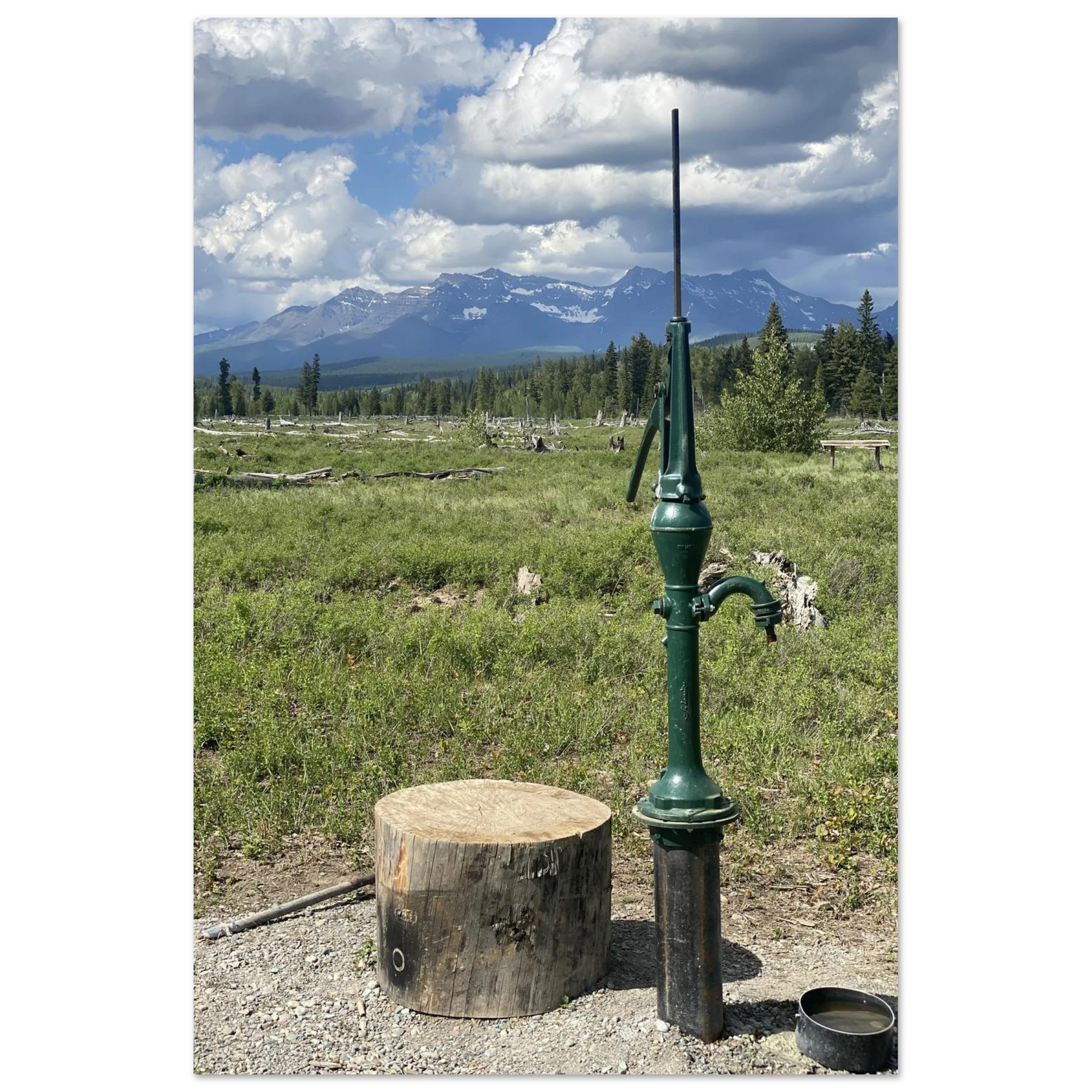 a809ee05-196c-4a96-9203-c72fae0c815a