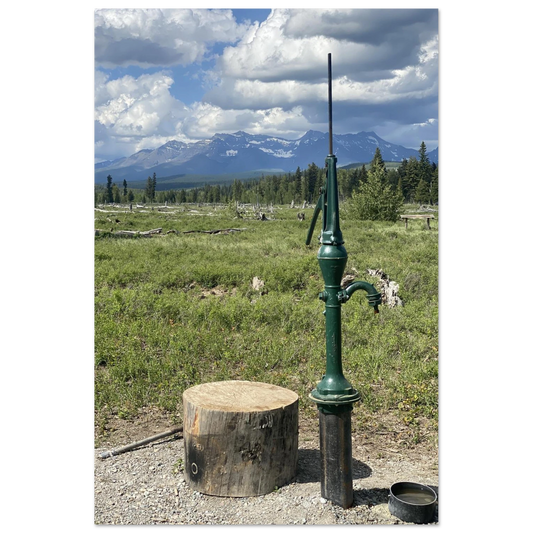 a809ee05-196c-4a96-9203-c72fae0c815a