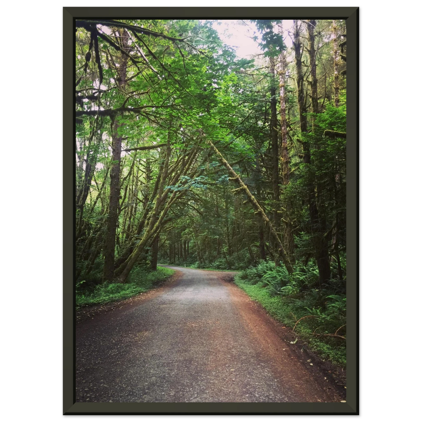 b1af06eb-5a01-490f-9f55-4dd432778e3e