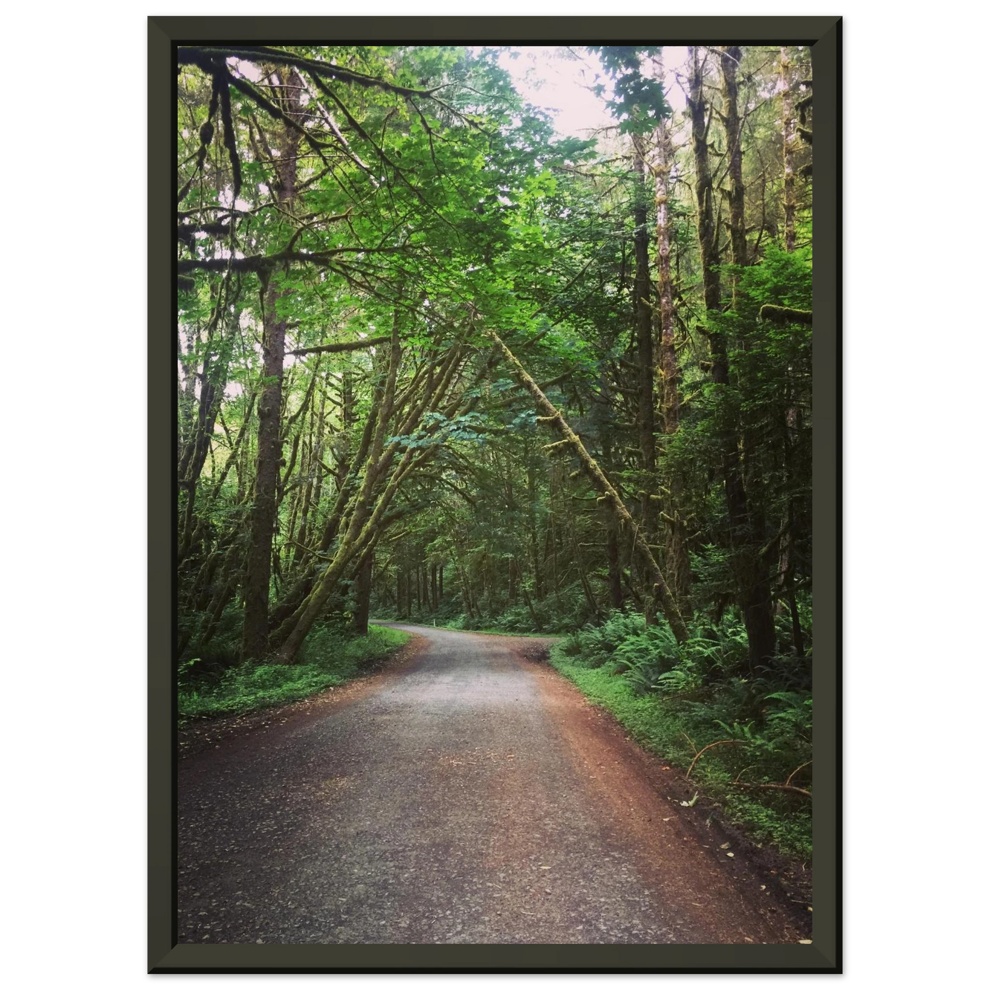 b1af06eb-5a01-490f-9f55-4dd432778e3e