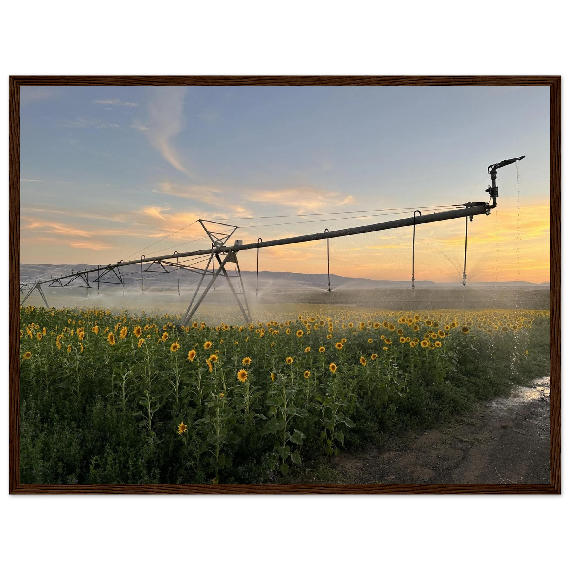 b4172bbd-7991-4f2e-b1d9-3b17b327e2ee