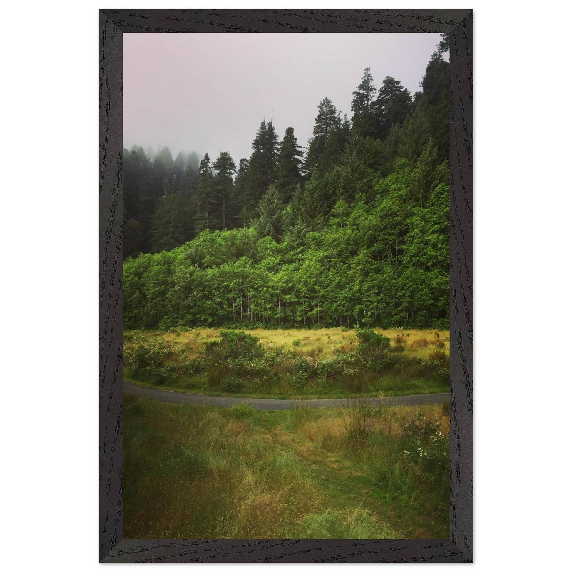 ba9367dd-567a-4729-a961-a7b920b4ddbb