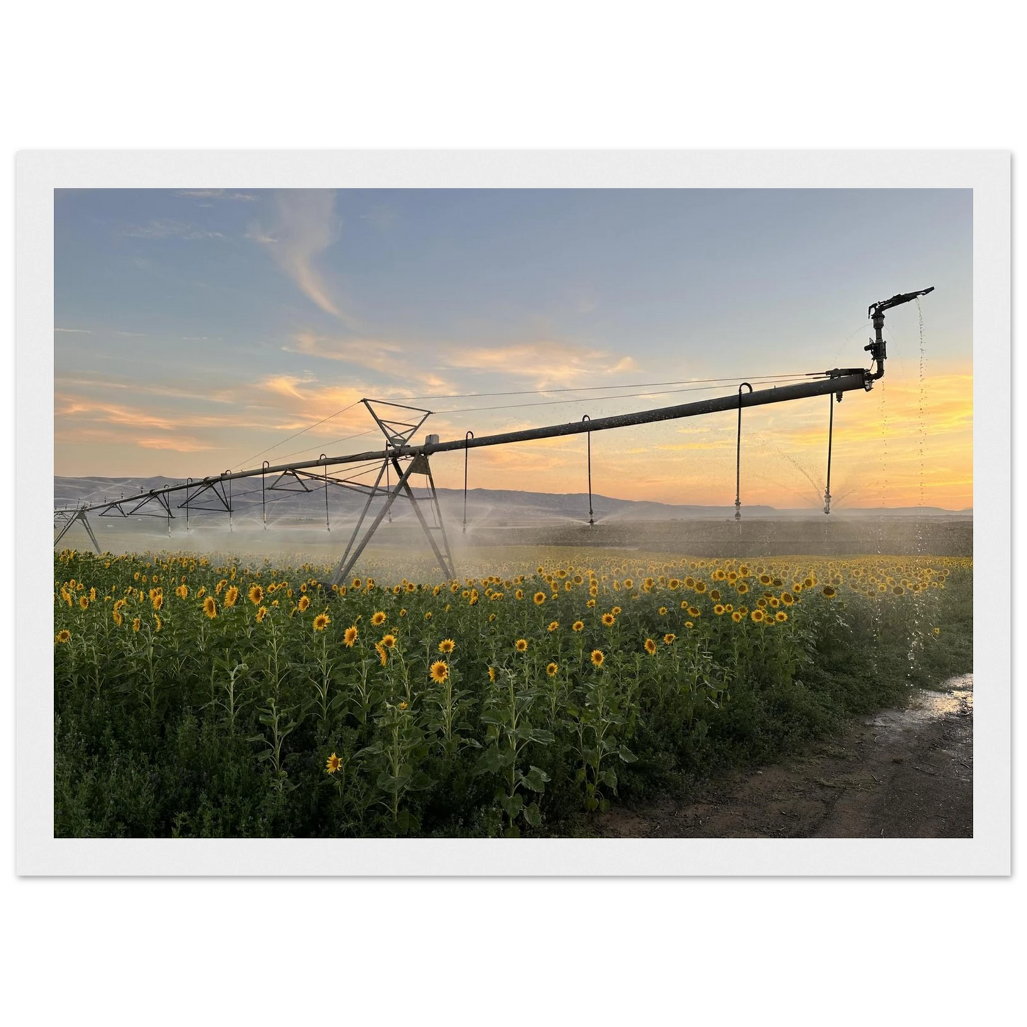 c3b2ee09-5ca0-4b1b-adee-0f2de466549c