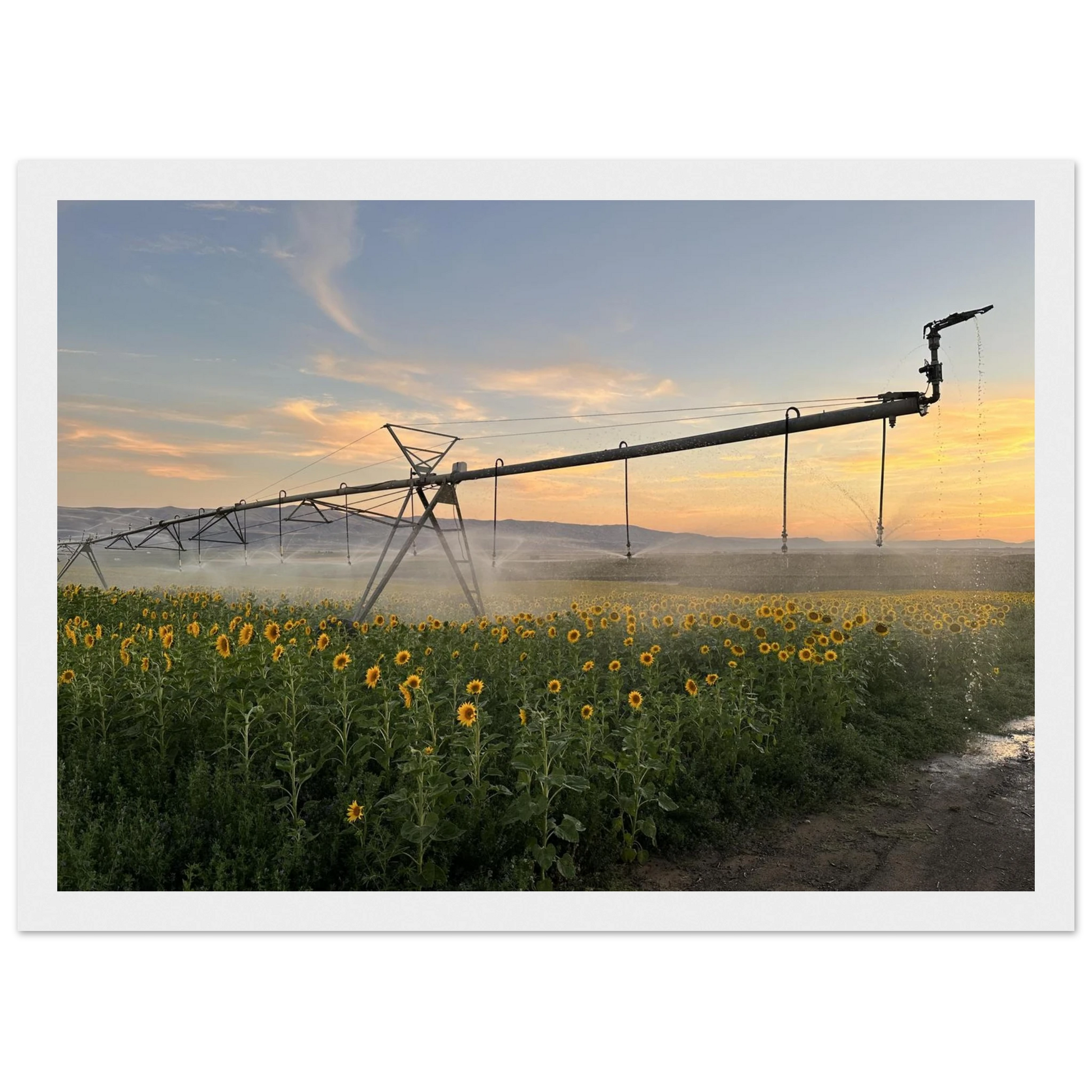 c3b2ee09-5ca0-4b1b-adee-0f2de466549c