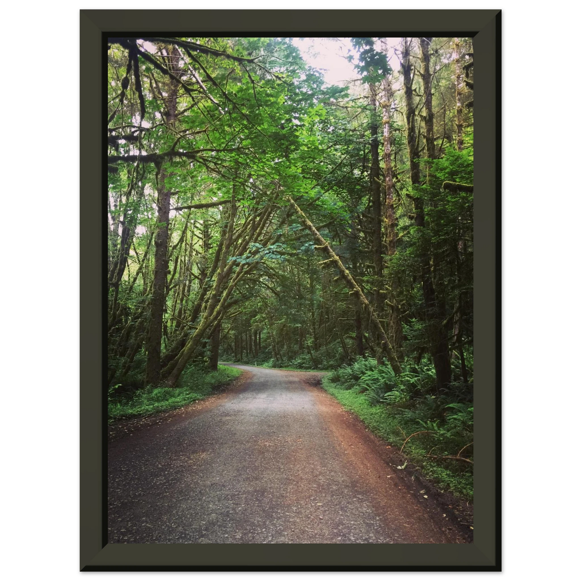 ceac97b6-a634-4a64-9d25-77178eb0a353