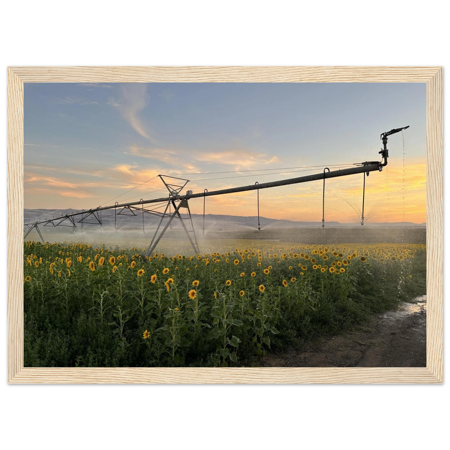 d11a92a7-ee6a-44aa-97e7-b004f39881e5