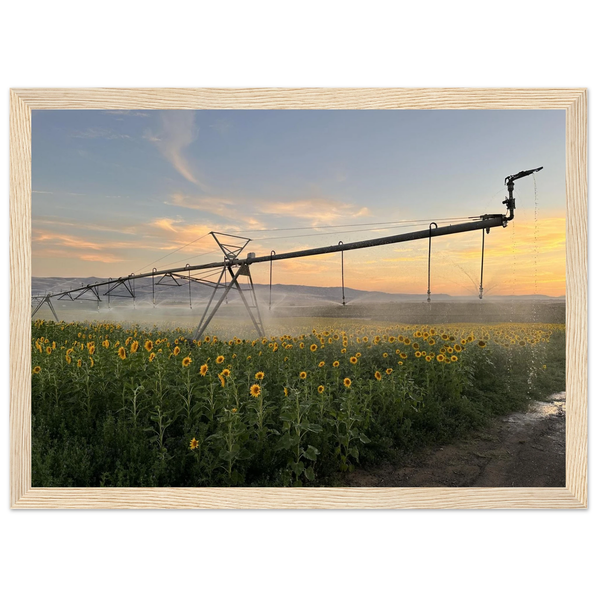 d11a92a7-ee6a-44aa-97e7-b004f39881e5