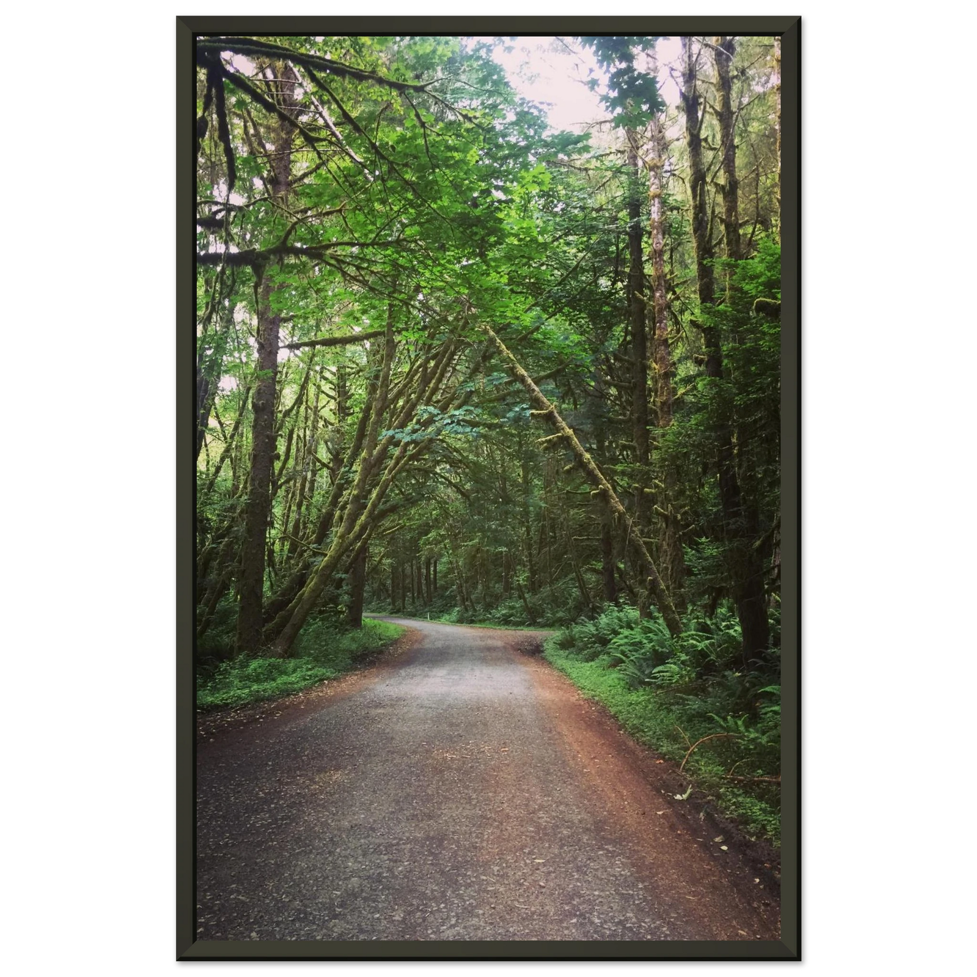 d2655577-f0b5-4dd6-84d0-8cdded54384e