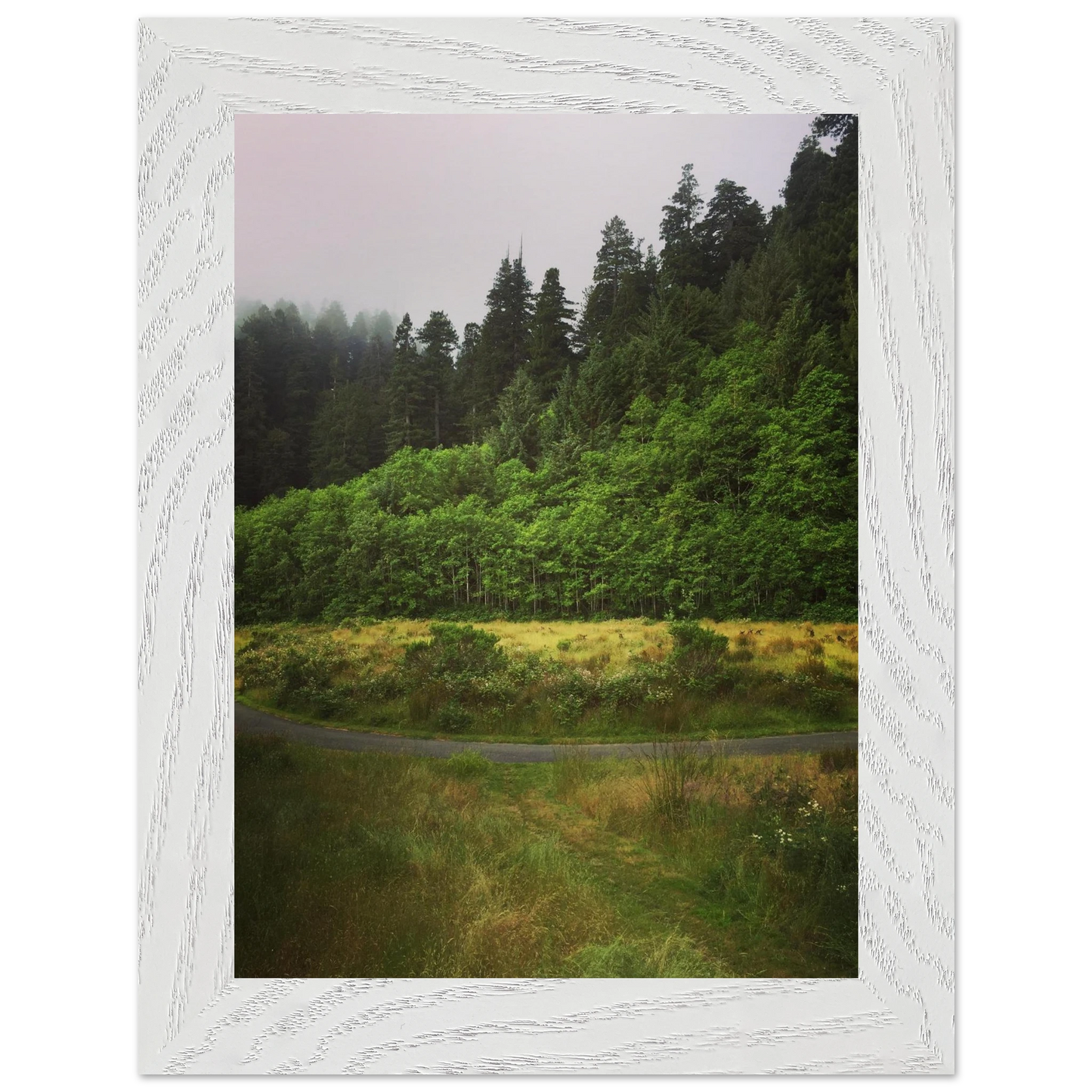 d405be22-b05f-41eb-878e-479c77834070