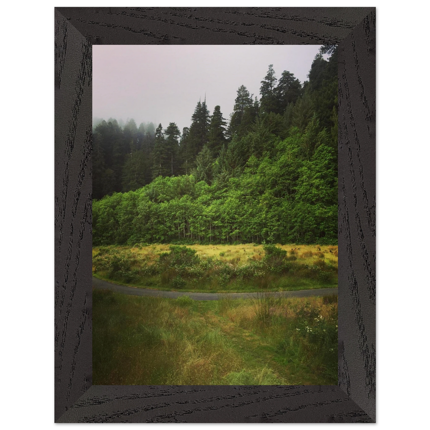 dc7c20b9-3ded-43e5-ae12-3173995c715b