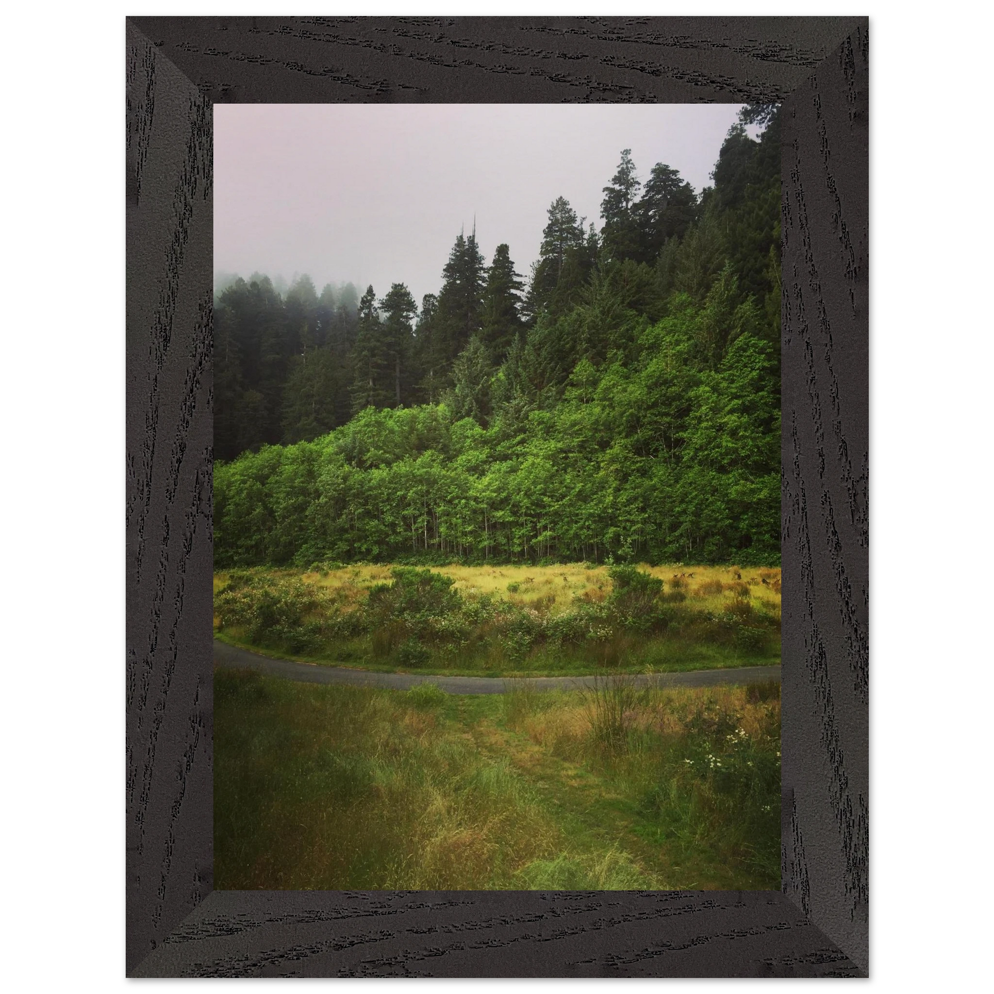 dc7c20b9-3ded-43e5-ae12-3173995c715b