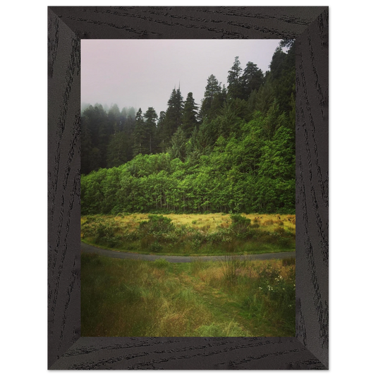 dc7c20b9-3ded-43e5-ae12-3173995c715b