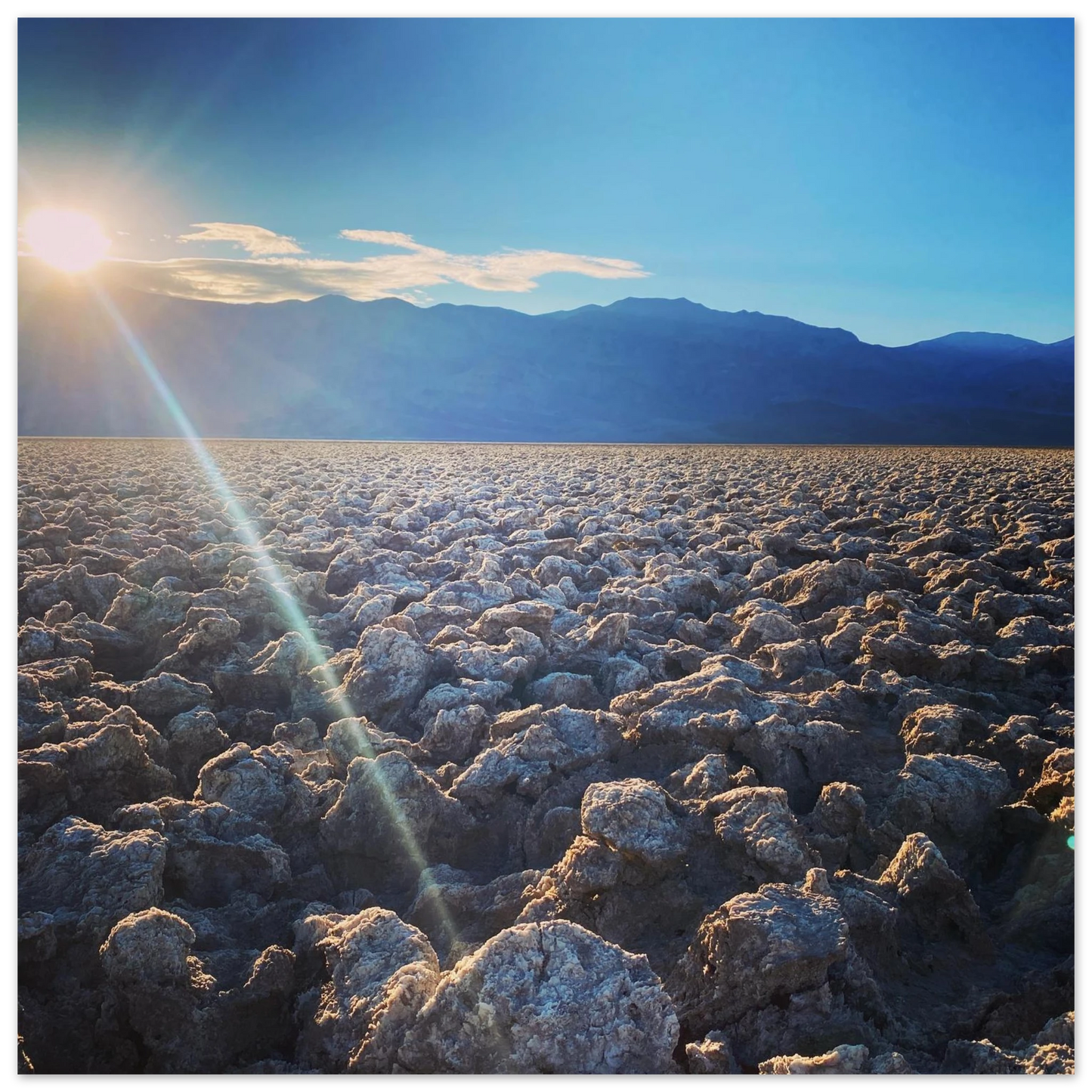 ee3a60d9-966d-4841-8660-f0bc6d86580d