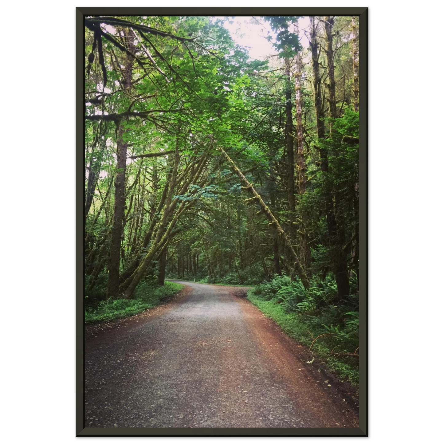 f23d98ce-7724-42e1-9ced-bf3981f98f9b